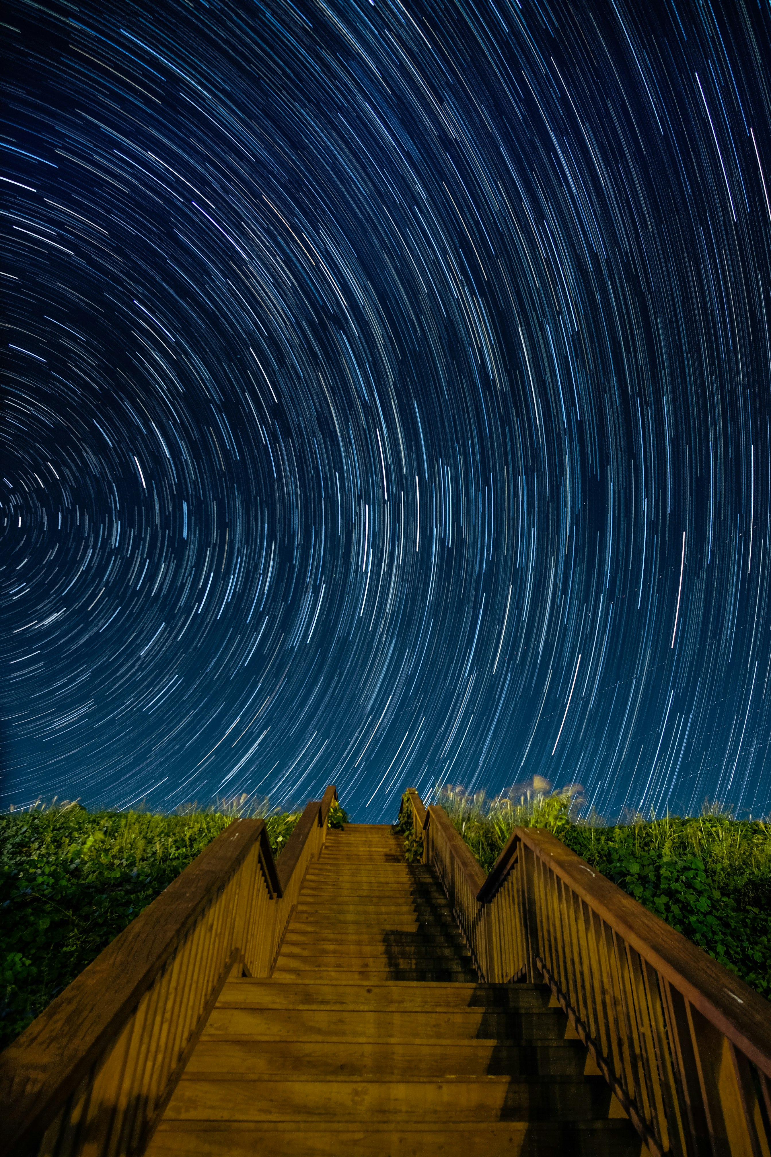 empty brown concrete stairs beside green grass under starry sky long-exposure photography